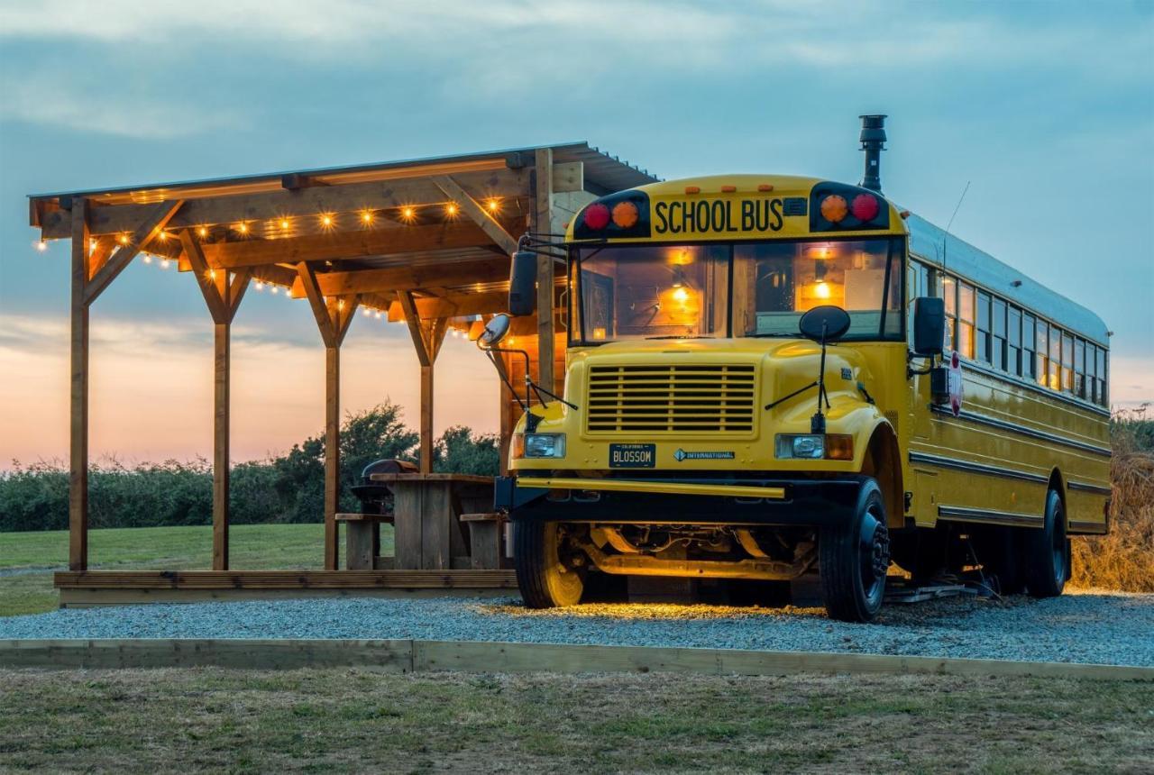 American School Bus - 1 Bedroom - Blossom Farm - Tiers Cross Johnston 外观 照片
