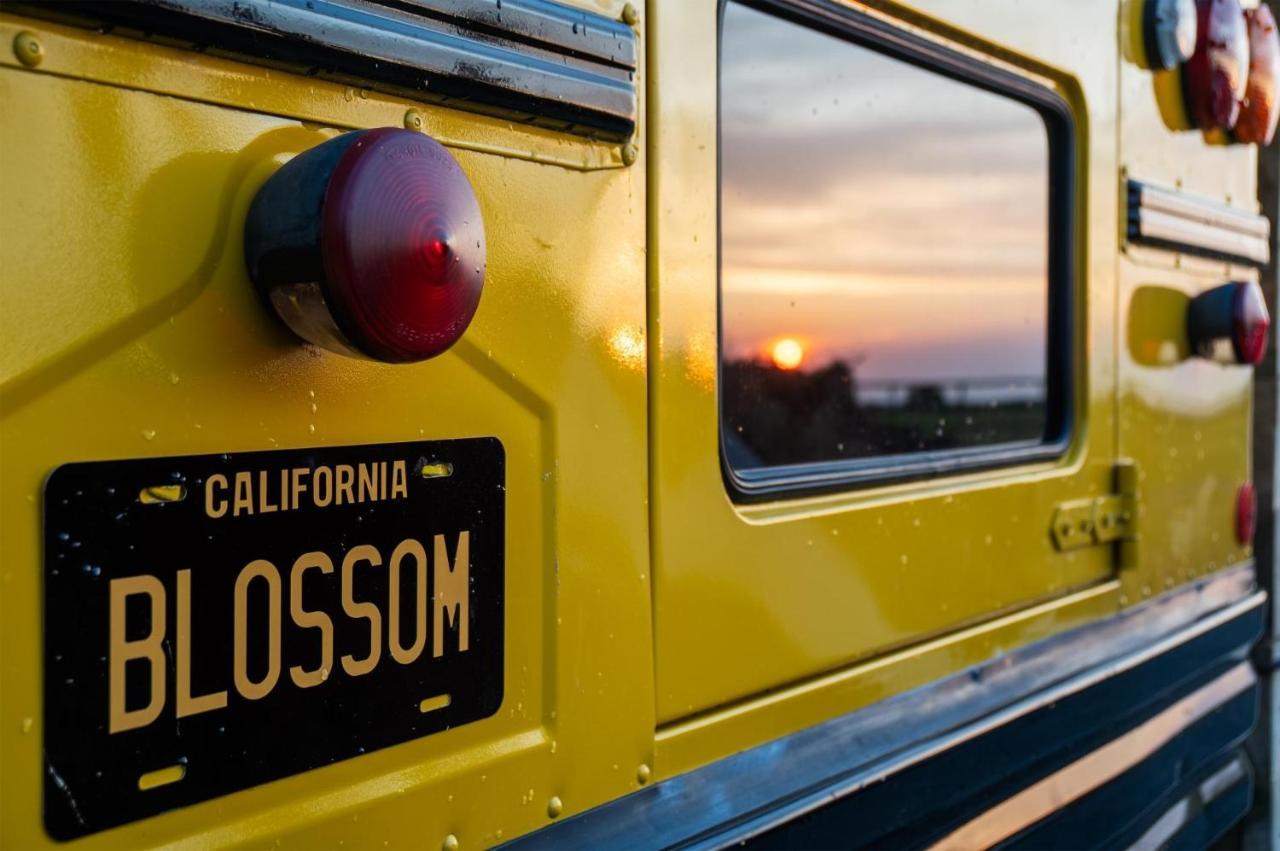 American School Bus - 1 Bedroom - Blossom Farm - Tiers Cross Johnston 外观 照片
